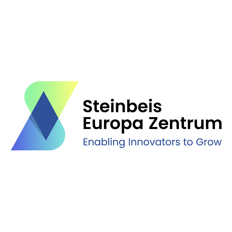 STEINBEIS INNOVATION GMBH